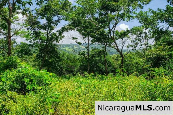 Remanso Hills Forested Views - Image 2