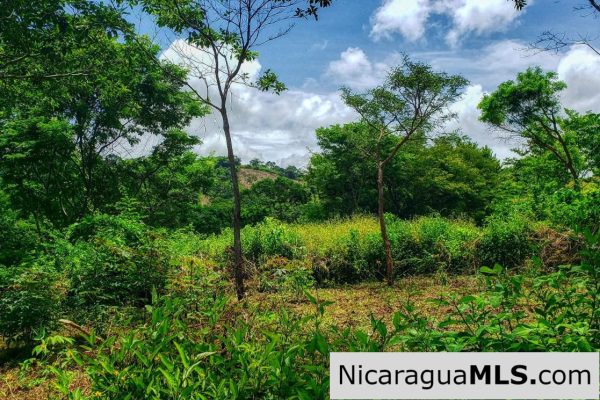 Remanso Hills Forested Views - Image 3