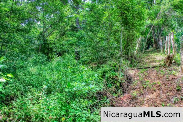 Remanso Hills Forested Views - Image 6