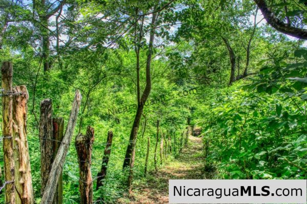 Remanso Hills Forested Views - Image 7