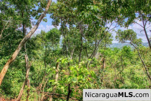 Remanso Hills Forested Views - Image 8