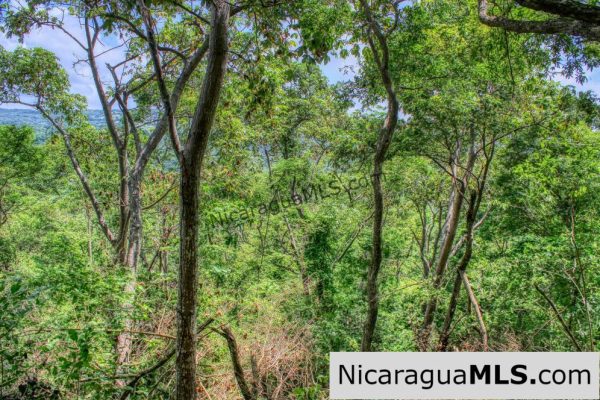 Remanso Hills Forested Views - Image 9