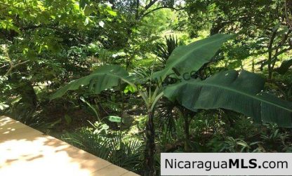 Forest House in Santa Isabel (model house)