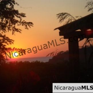 Eco Surf Lodge on 4 Acres