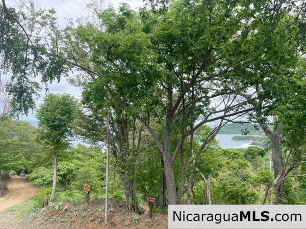 Lots in Las Terrazas de Playa Maderas. - Image 15
