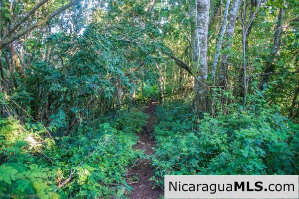 50 Acres with Stunning Views of San Juan del Sur - Image 12