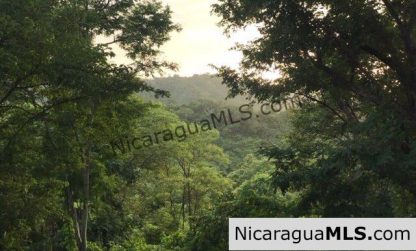 Forest House in Santa Isabel (model house)