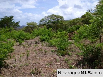 Great lot overlooking Playa Maderas