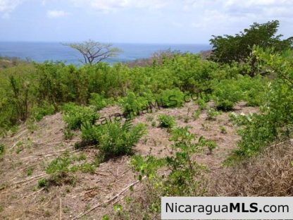 Great lot overlooking Playa Maderas