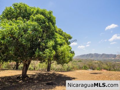 Vista del Oro Ocean View Lots for Sale in El Oro