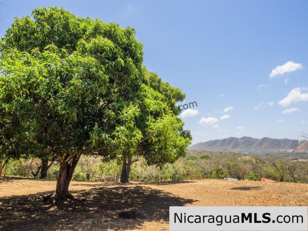 Vista del Oro Ocean View Lots for Sale in El Oro - Image 9