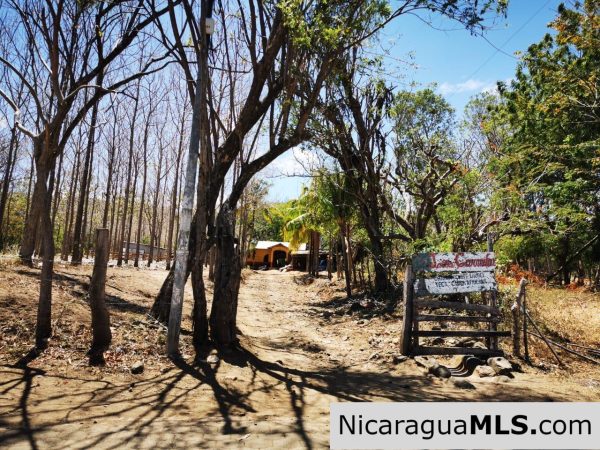 80 Manzanas Tree Farm Five minutes from Rivas - Image 18