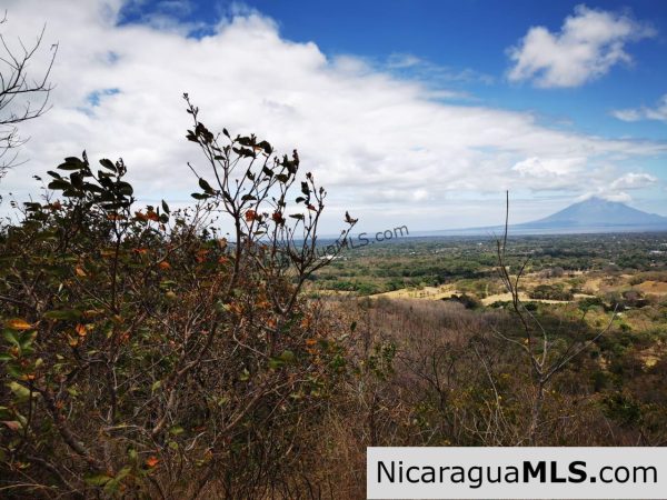 80 Manzanas Tree Farm Five minutes from Rivas - Image 16