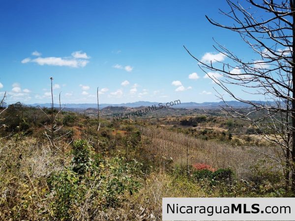 80 Manzanas Tree Farm Five minutes from Rivas - Image 13