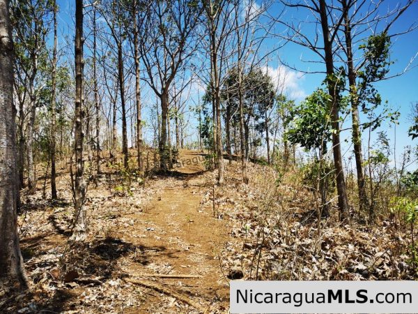 80 Manzanas Tree Farm Five minutes from Rivas - Image 12