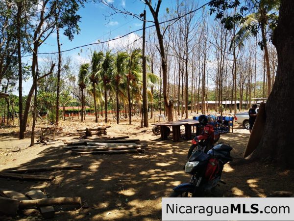 80 Manzanas Tree Farm Five minutes from Rivas - Image 7