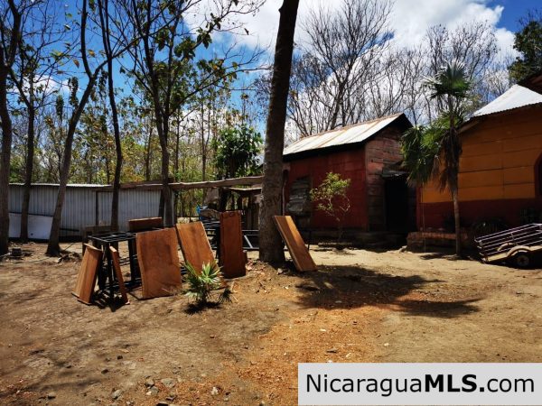 80 Manzanas Tree Farm Five minutes from Rivas - Image 5