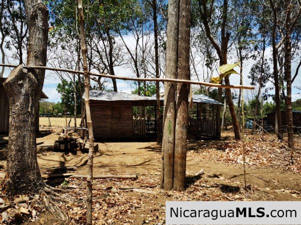 80 Manzanas Tree Farm Five minutes from Rivas - Image 2
