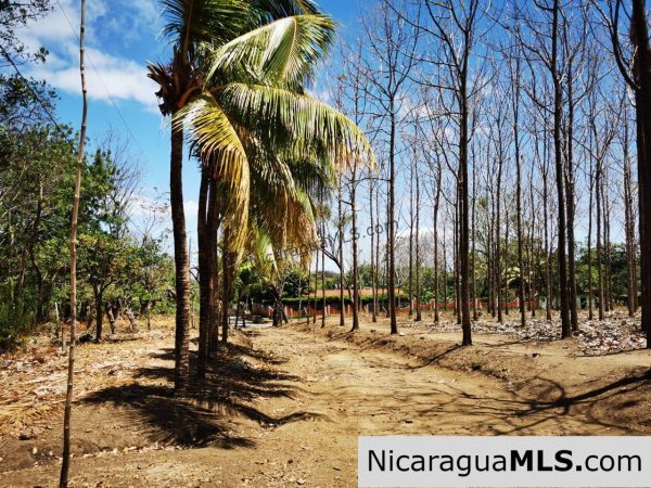 80 Manzanas Tree Farm Five minutes from Rivas - Image 19