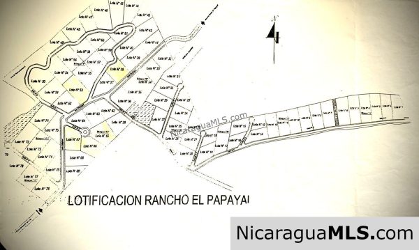 Rancho Papayal Lots Near TreeCasa San Juan Del Sur - Image 9