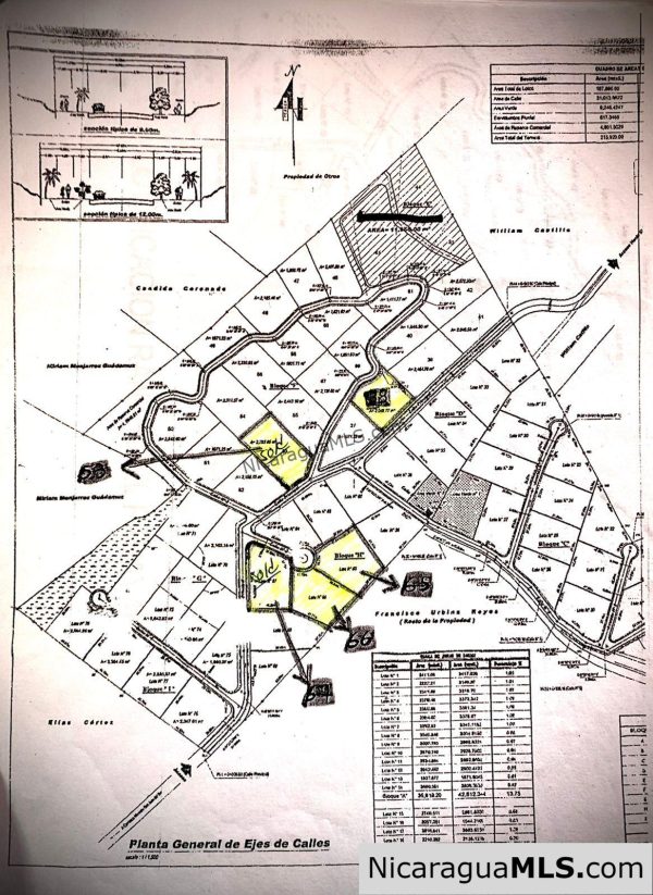 Rancho Papayal Lots Near TreeCasa San Juan Del Sur - Image 8