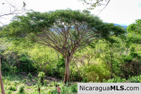 7 Acre View Homesite Minutes to San Juan del Sur Town - Image 6