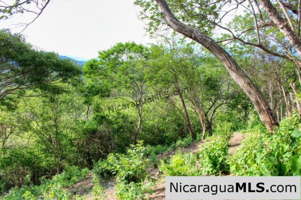 7 Acre View Homesite Minutes to San Juan del Sur Town - Image 5