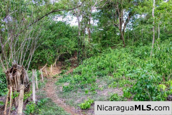 7 Acre View Homesite Minutes to San Juan del Sur Town - Image 10