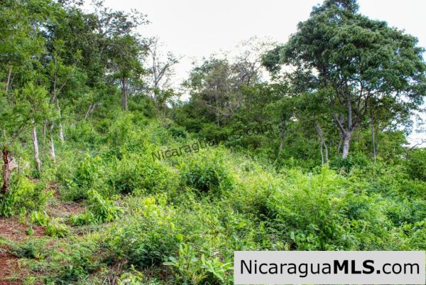 7 Acre View Homesite Minutes to San Juan del Sur Town - Image 8