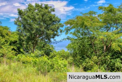 Playa Yankee Triple Ocean View Lot Near One Acre