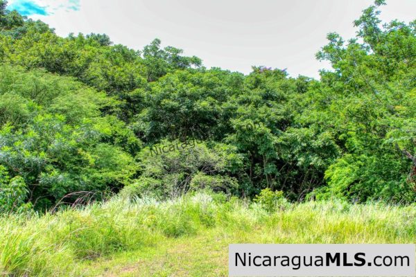 Playa Yankee Triple Ocean View Lot Near One Acre - Image 3