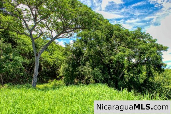 Playa Yankee Panoramic Ocean View Lot 57 San Juan del Sur - Image 5