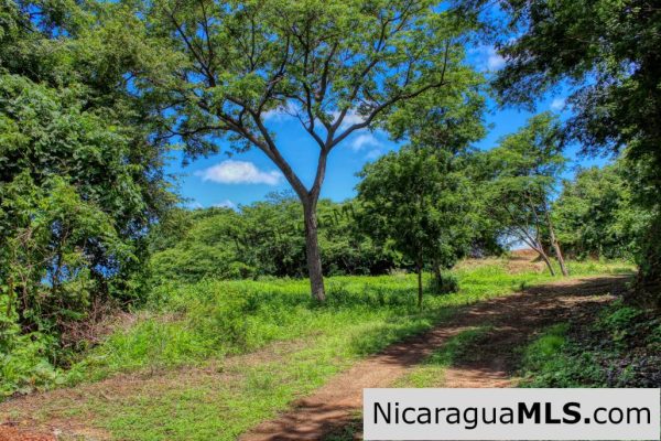 Playa Yankee Panoramic Ocean View Lot 57 San Juan del Sur - Image 7