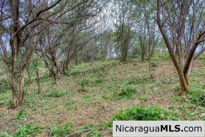 Ocean View Rolling Acres Privacy Arriba Verde Estate