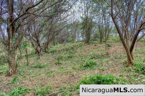 Ocean View Rolling Acres Privacy Arriba Verde Estate - Image 7