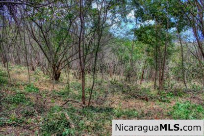 Ocean View Rolling Acres Privacy Arriba Verde Estate