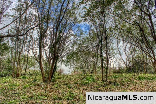 Ocean View Rolling Acres Privacy Arriba Verde Estate - Image 9