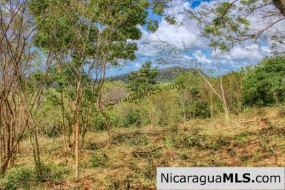 Ocean View Rolling Acres Privacy Arriba Verde Estate
