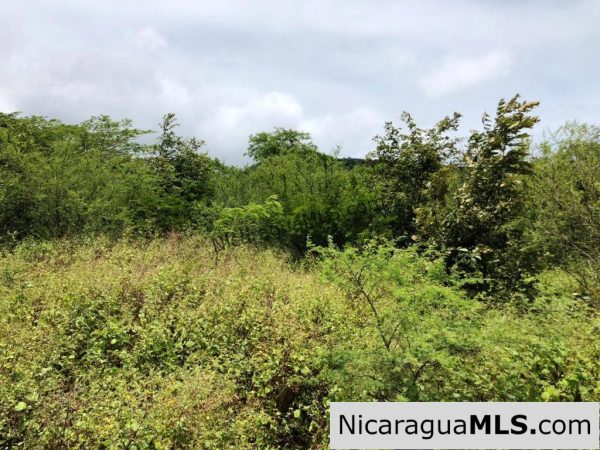 4 Acres in Las Delicias on the Road to Playa Coco - Image 15