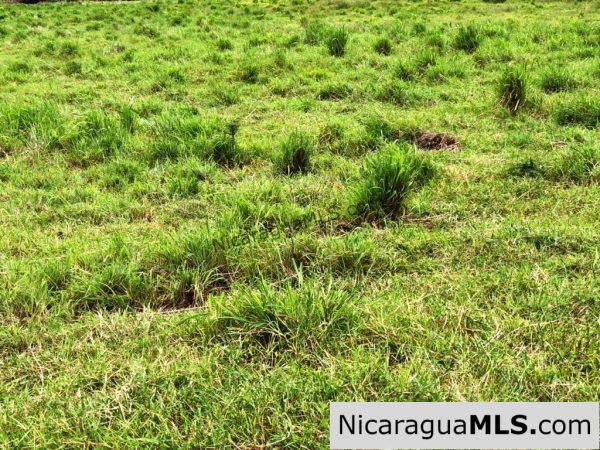 4 Acres in Las Delicias on the Road to Playa Coco - Image 13