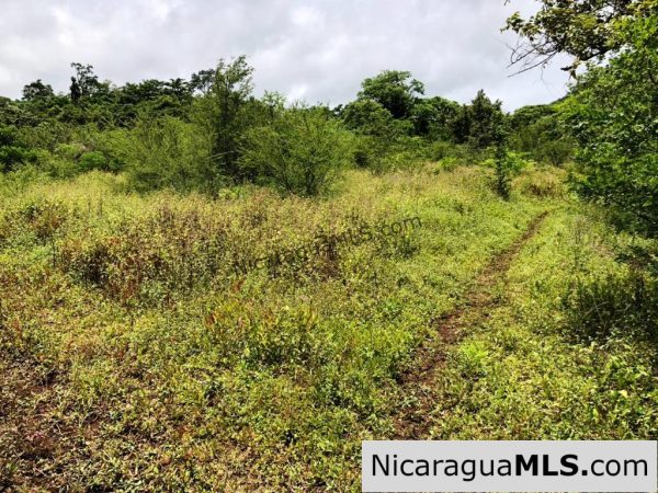 4 Acres in Las Delicias on the Road to Playa Coco - Image 9