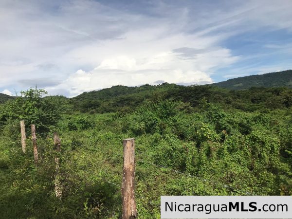 Flat Two Manzana Lot with Great Potential in Las Delicias - Image 6