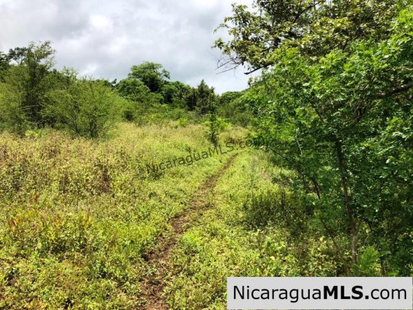 4 Acres in Las Delicias on the Road to Playa Coco - Image 16