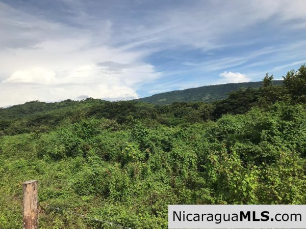 Flat Two Manzana Lot with Great Potential in Las Delicias - Image 5