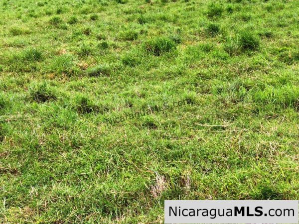 4 Acres in Las Delicias on the Road to Playa Coco - Image 17