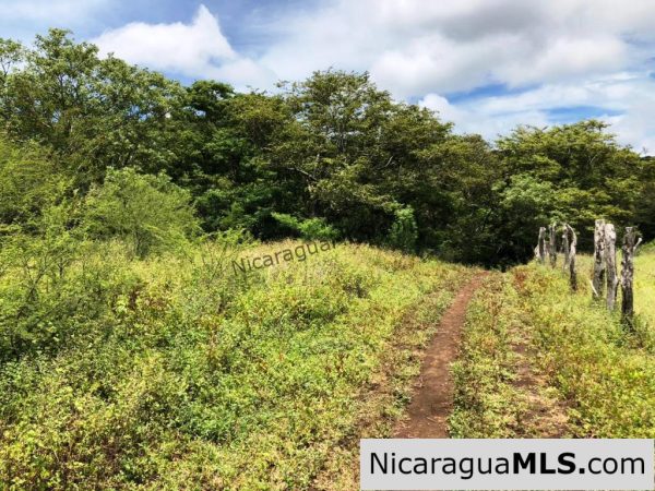 4 Acres in Las Delicias on the Road to Playa Coco - Image 7