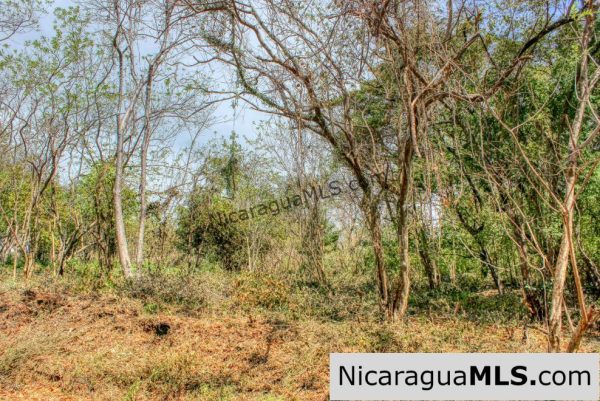 Half Acre Lot Luxury Life Development TreeCasa FIRE SALE - Image 8