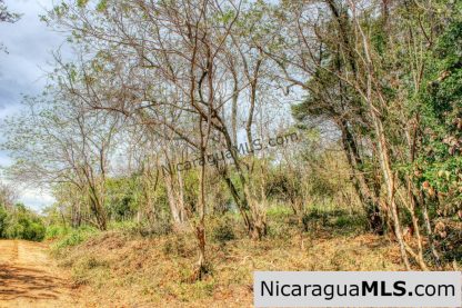Half Acre Lot Luxury Life Development TreeCasa FIRE SALE