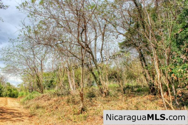 Half Acre Lot Luxury Life Development TreeCasa FIRE SALE - Image 10
