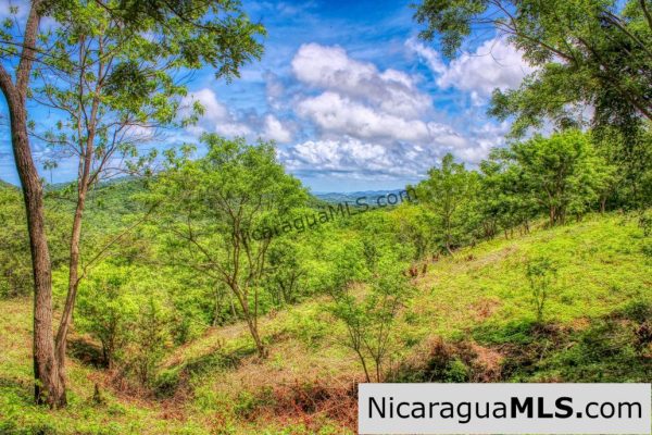 Lot 24 Arriba Verde El Carrizal San Juan del Sur - Image 20